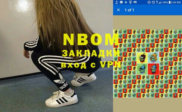 мет Алексин