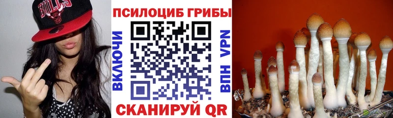 купить наркотик Бикин сайты даркнета официальный сайт Псилоцибиновые грибы GOLDEN TEACHER